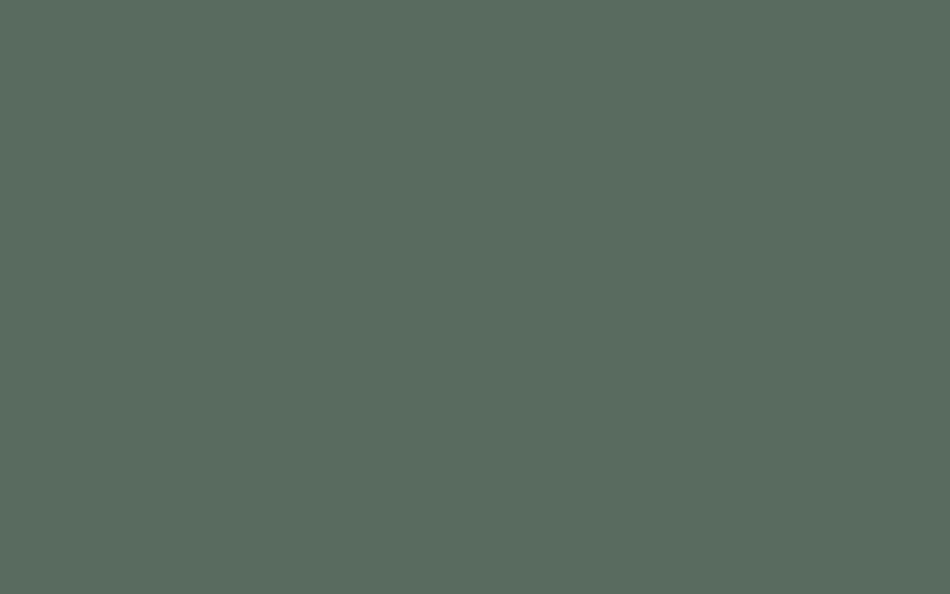 Little Greene Paint Ho Ho Green (305)