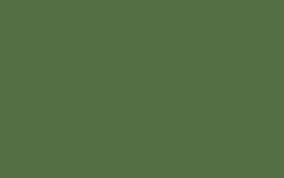 Little Greene Paint Hopper (297)