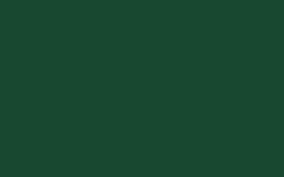 Little Greene Paint Puck (298)