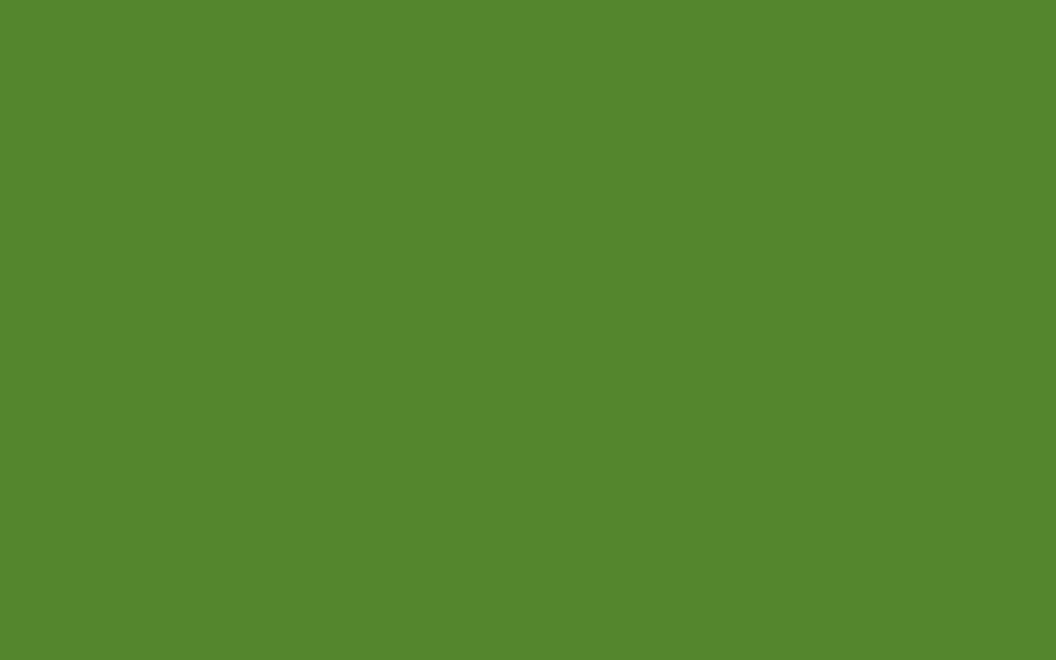Little Greene Paint Sage & Onions (288)