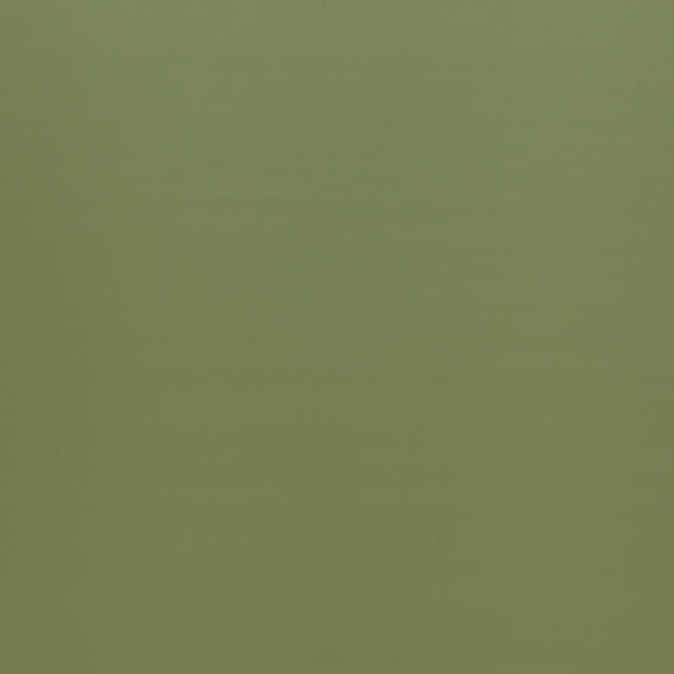 Iliv Burghley FR Pistachio Fabric