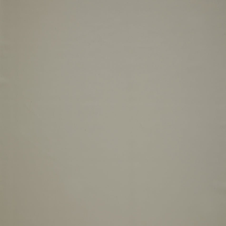 Iliv Burghley FR Putty Fabric