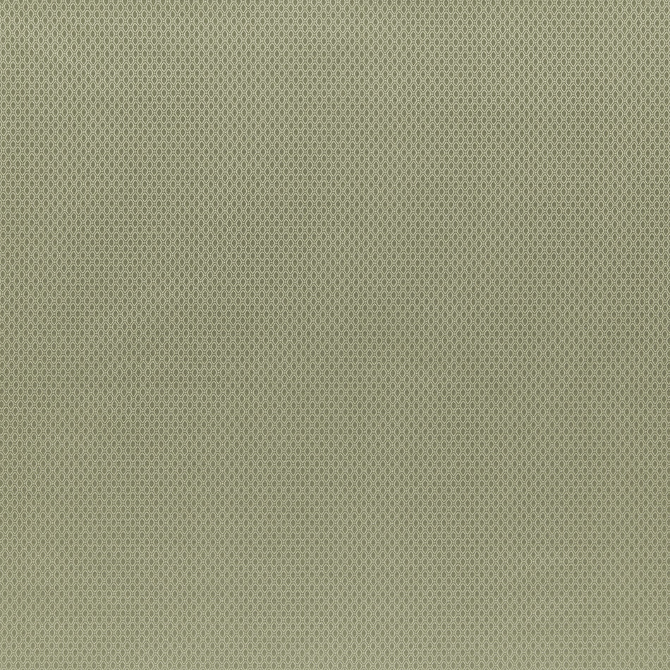 Iliv Callaway Ellis FR Olive Fabric