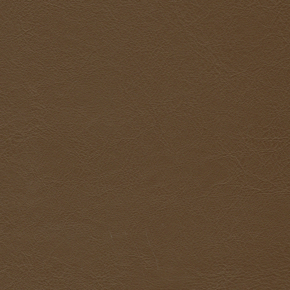 Wemyss Encore Orzan 09 Fabric