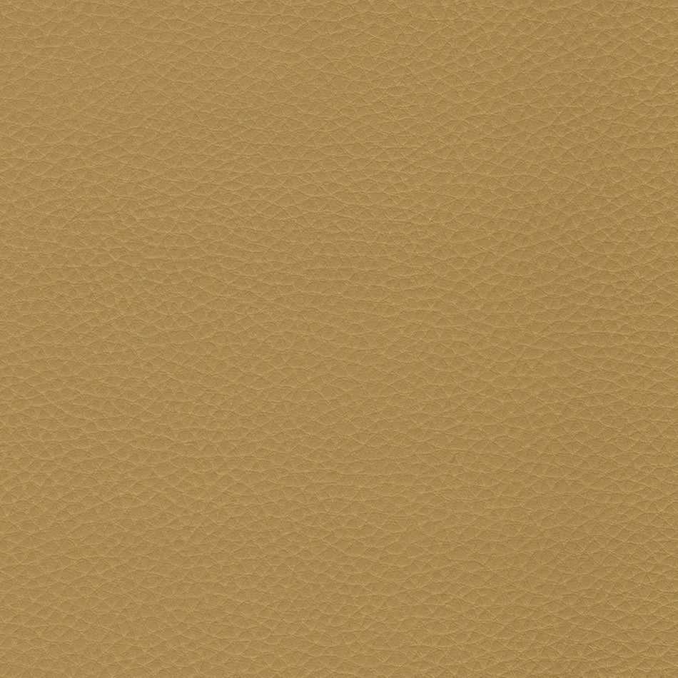 Wemyss Encore Capella 14 Fabric