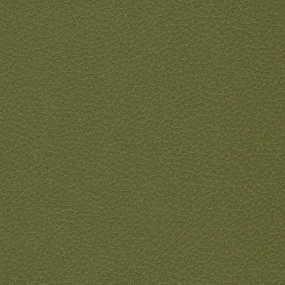 Wemyss Encore Capella 23 Fabric