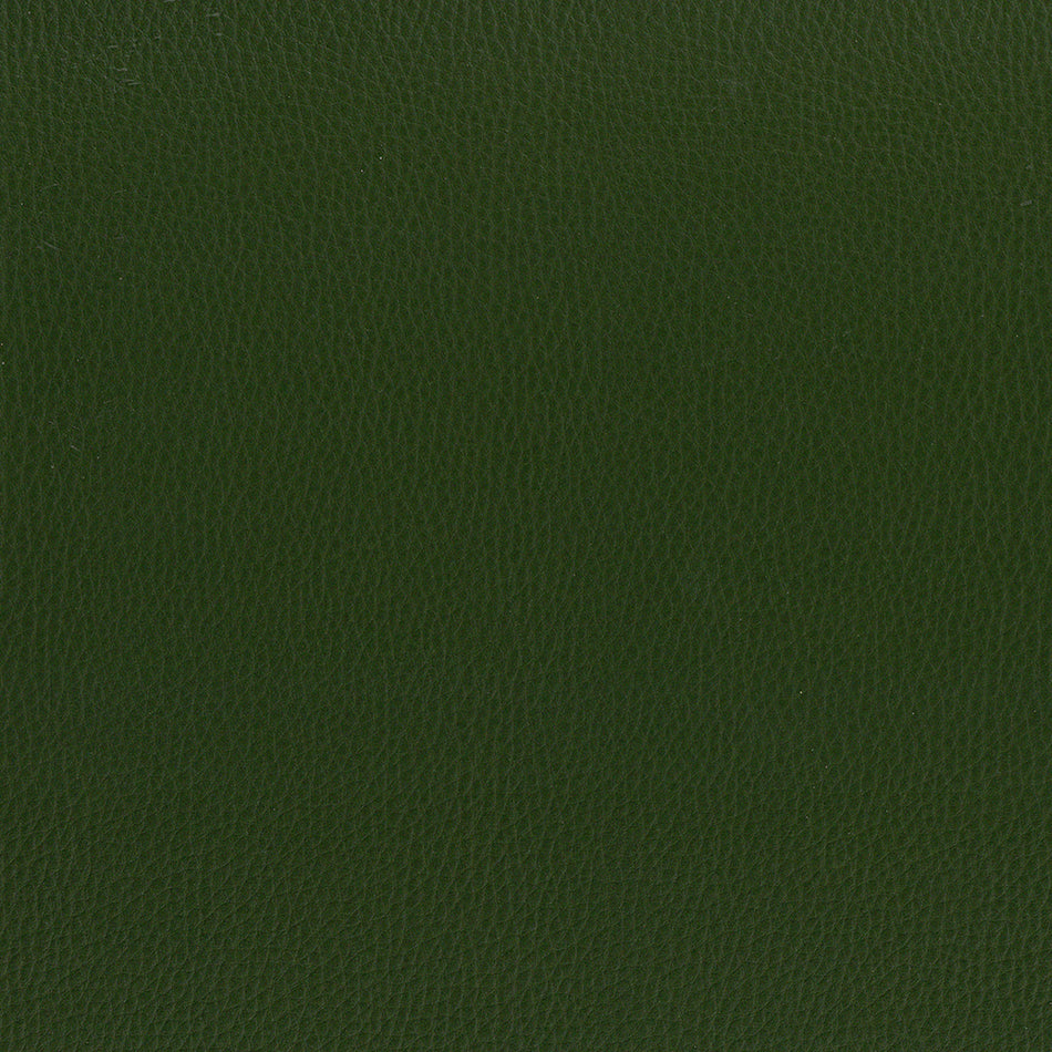 Wemyss Encore Capella 36 Fabric