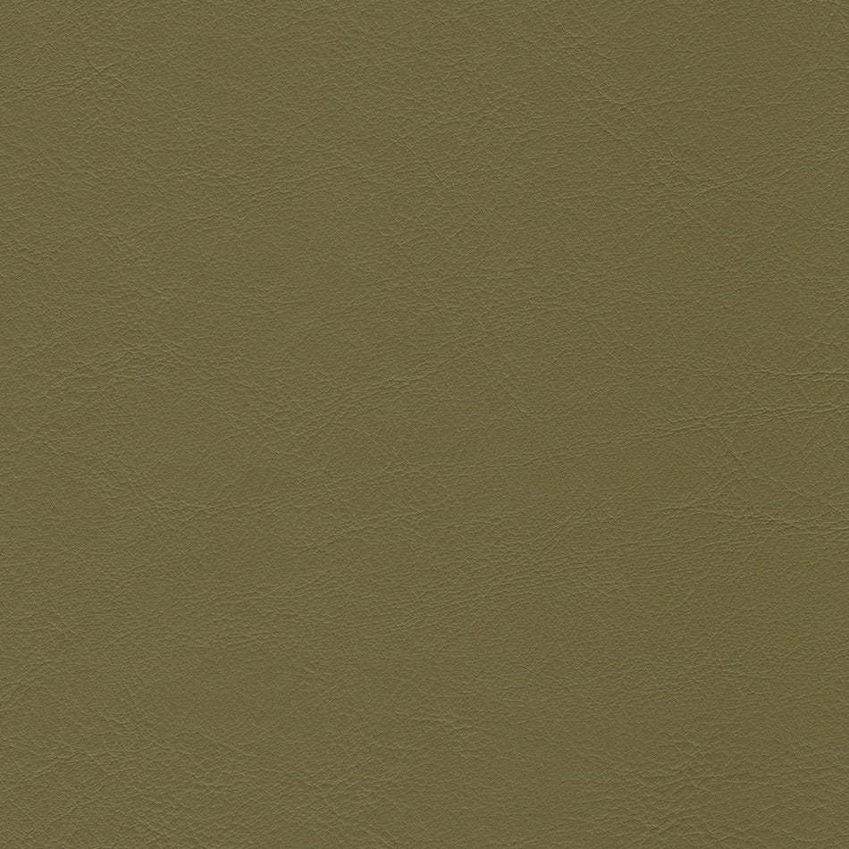 Wemyss Encore Orzan 13 Fabric