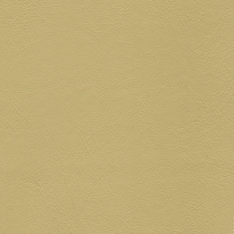 Wemyss Encore Orzan 14 Fabric