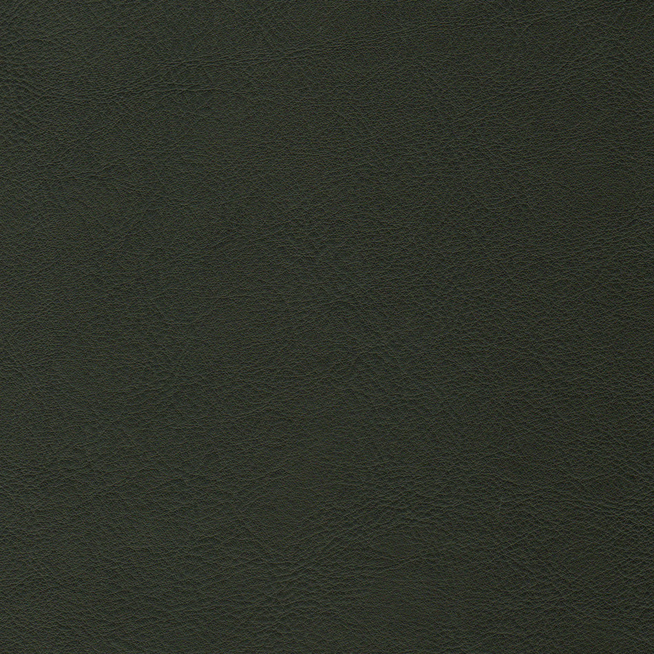 Wemyss Encore Orzan 24 Fabric
