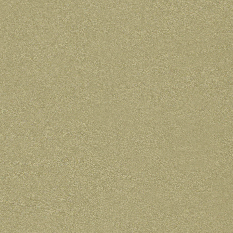Wemyss Encore Orzan 38 Fabric