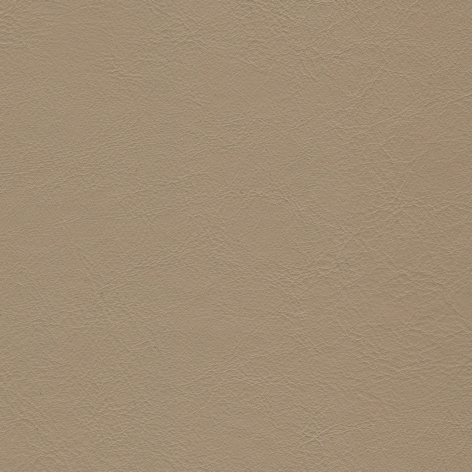 Wemyss Encore Orzan 41 Fabric