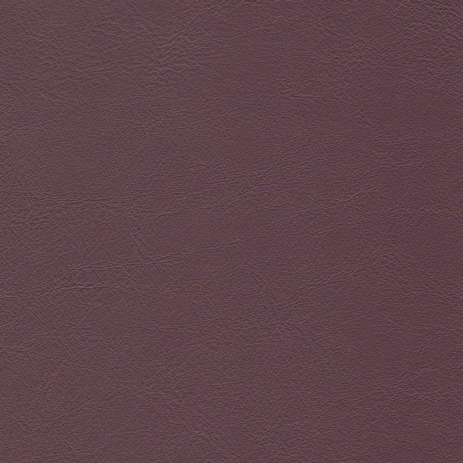 Wemyss Encore Orzan 42 Fabric