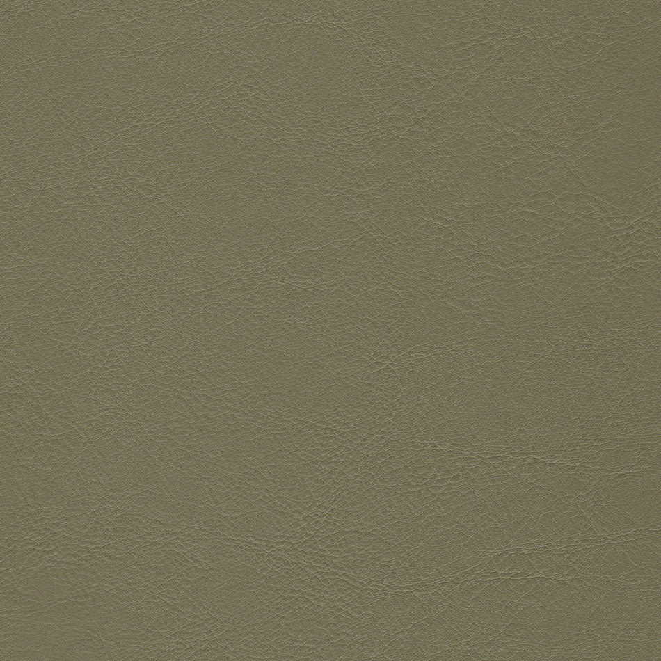 Wemyss Encore Orzan 45 Fabric