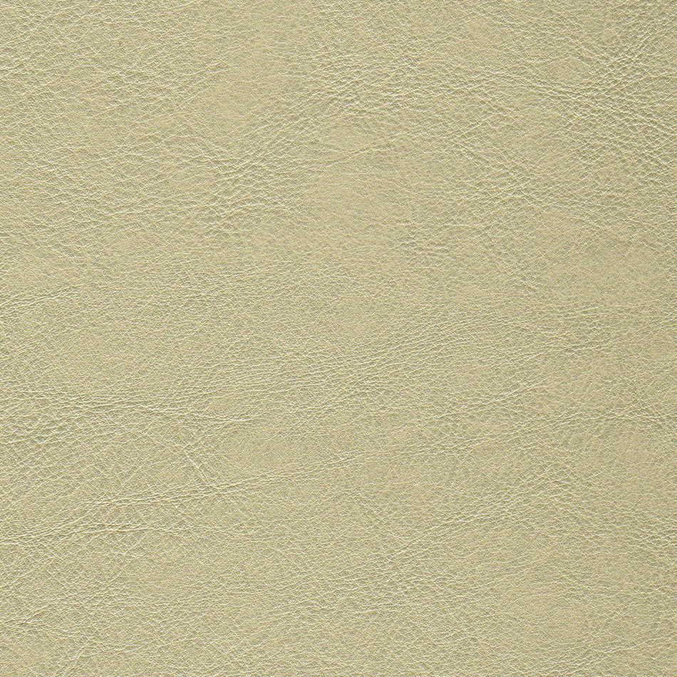 Wemyss Encore Orzan 47 Fabric