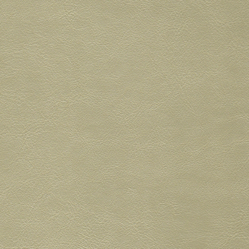Wemyss Encore Orzan 48 Fabric