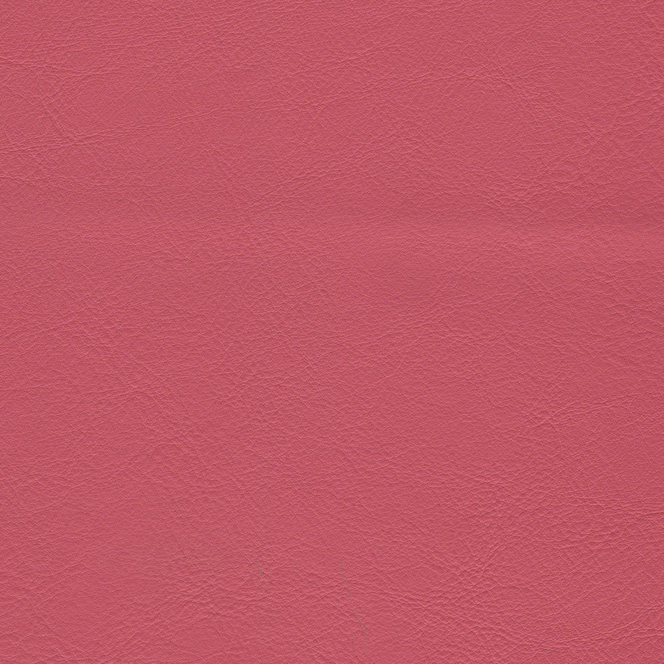 Wemyss Encore Orzan 53 Fabric