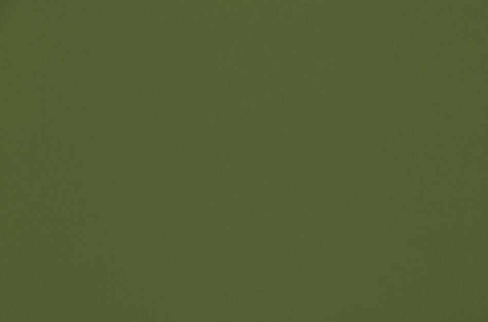 Ashley Wilde Omari Grass Fabric