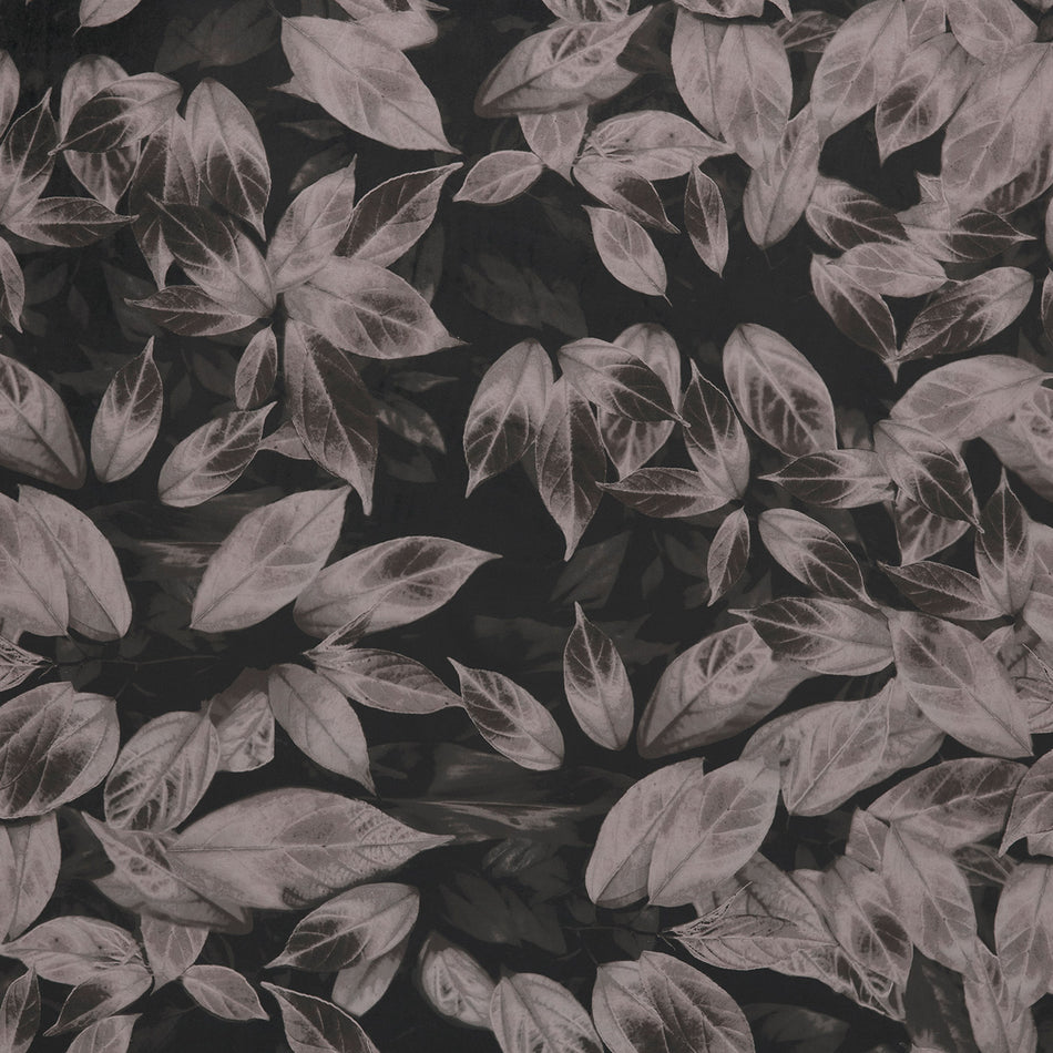 Ashley Wilde Velluto Giardino Truffle Fabric