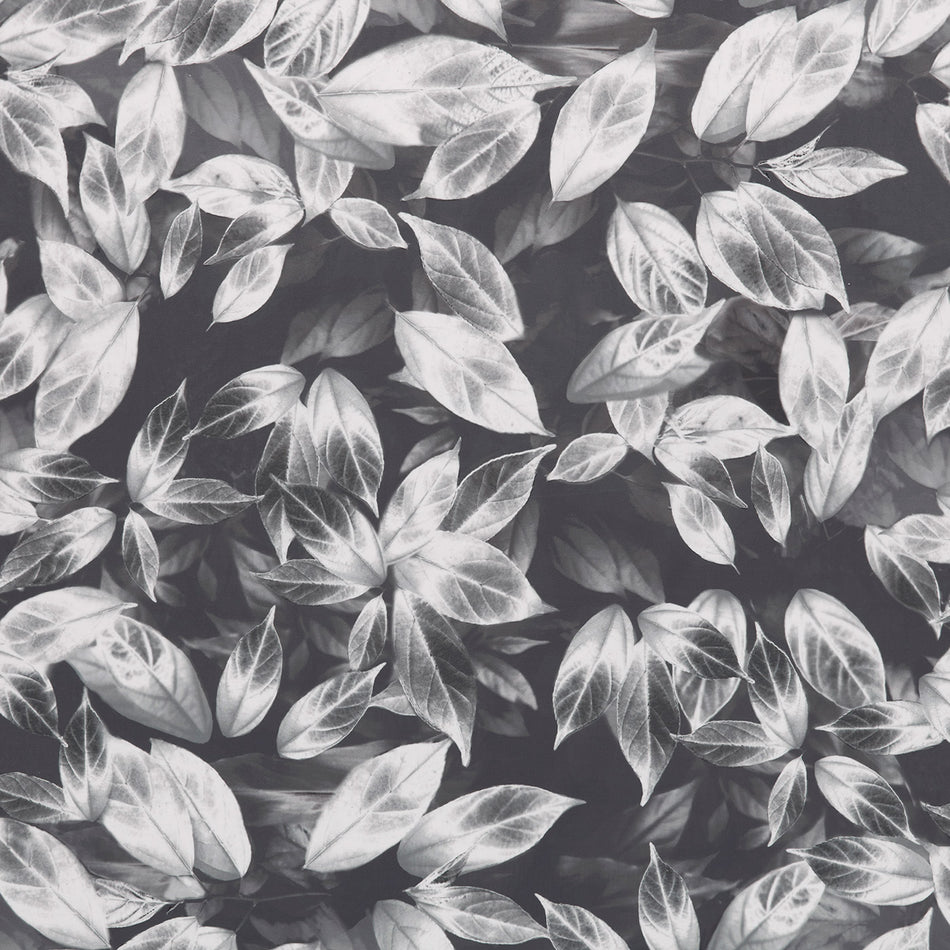 Ashley Wilde Velluto Giardino Slate Fabric