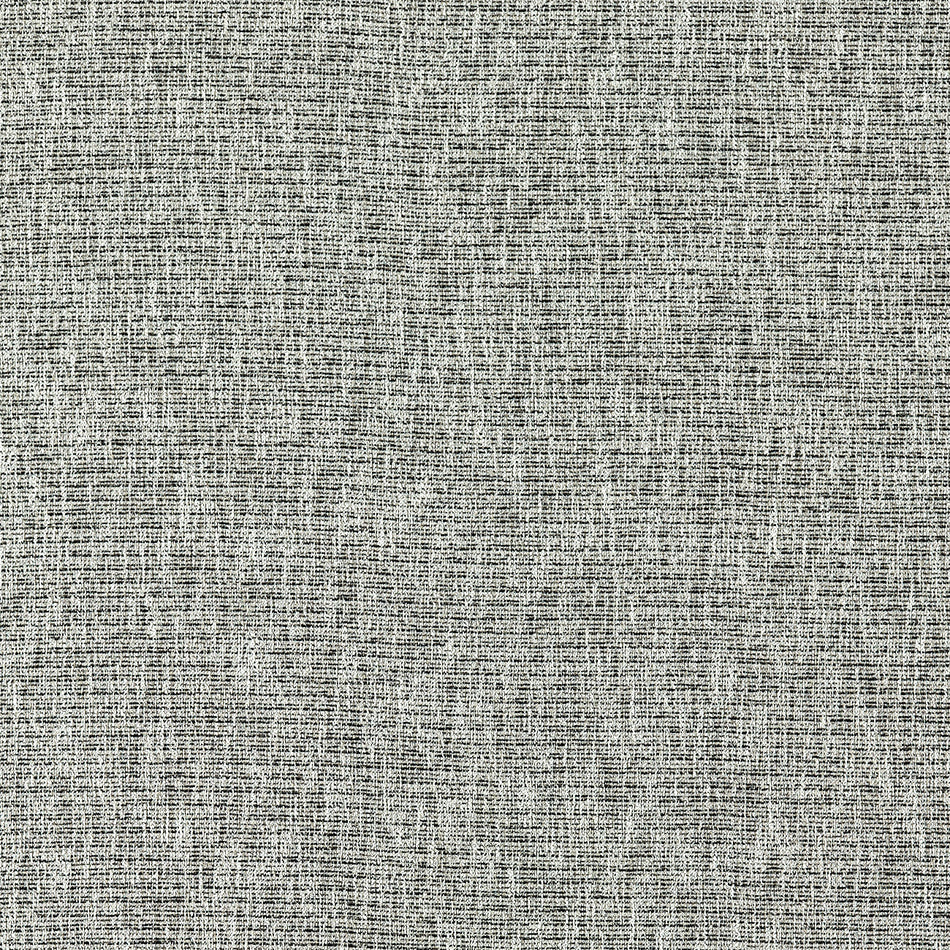 Clarke & Clarke Eco Avani Charcoal Fabric