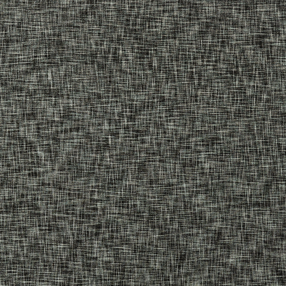 Clarke & Clarke Eco Gaia Charcoal Fabric