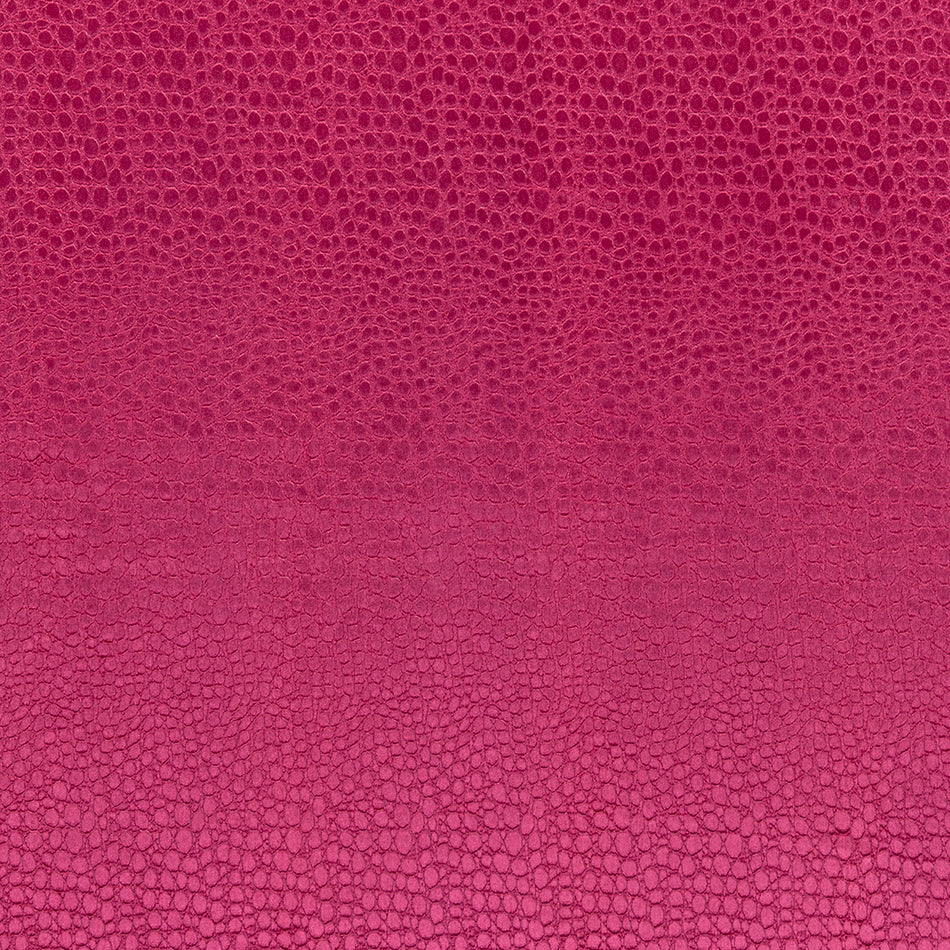 Clarke & Clarke Tempo Velvets Pulse Sorbet Fabric