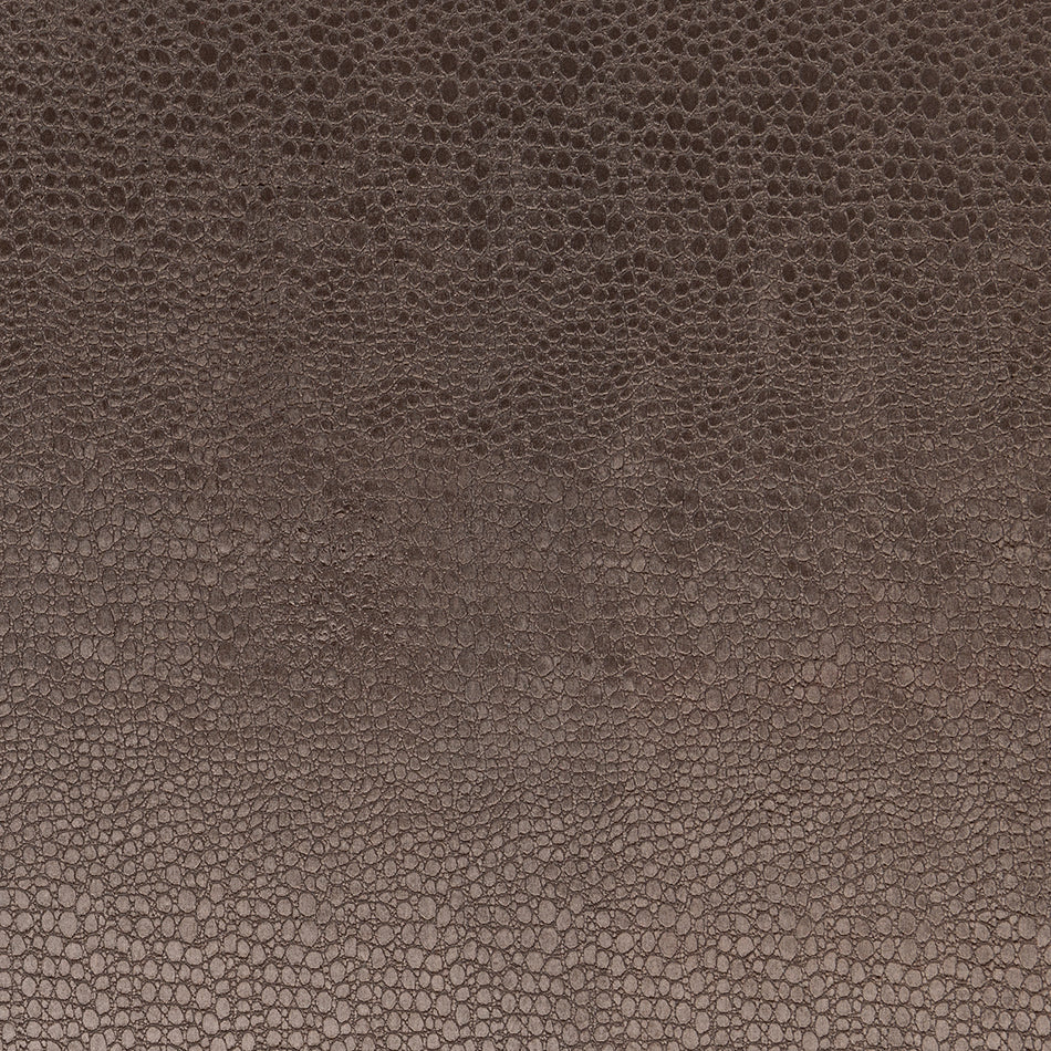 Clarke & Clarke Tempo Velvets Pulse Charcoal Fabric