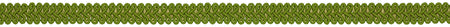 Hallis Eternity Bella Dura 12mm Gimp Braid Kelp Green
