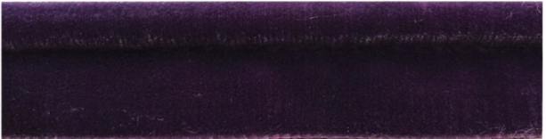 Jones Syon Velvet Lip Cord Trim, Grape
