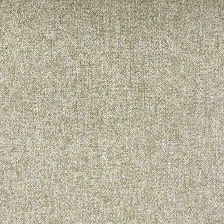 Chatham Glyn Tweed 804 Fabric
