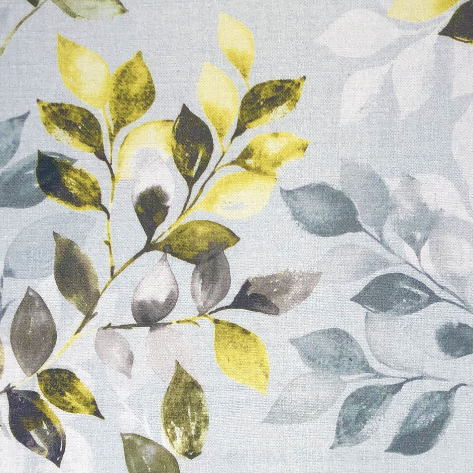 Chatham Glyn Floribunda Ambleside Ochre