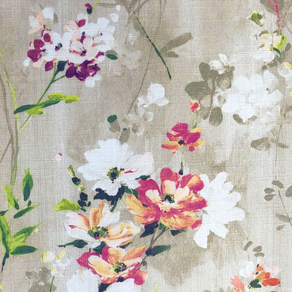 Chatham Glyn Floribunda Blossom Plum