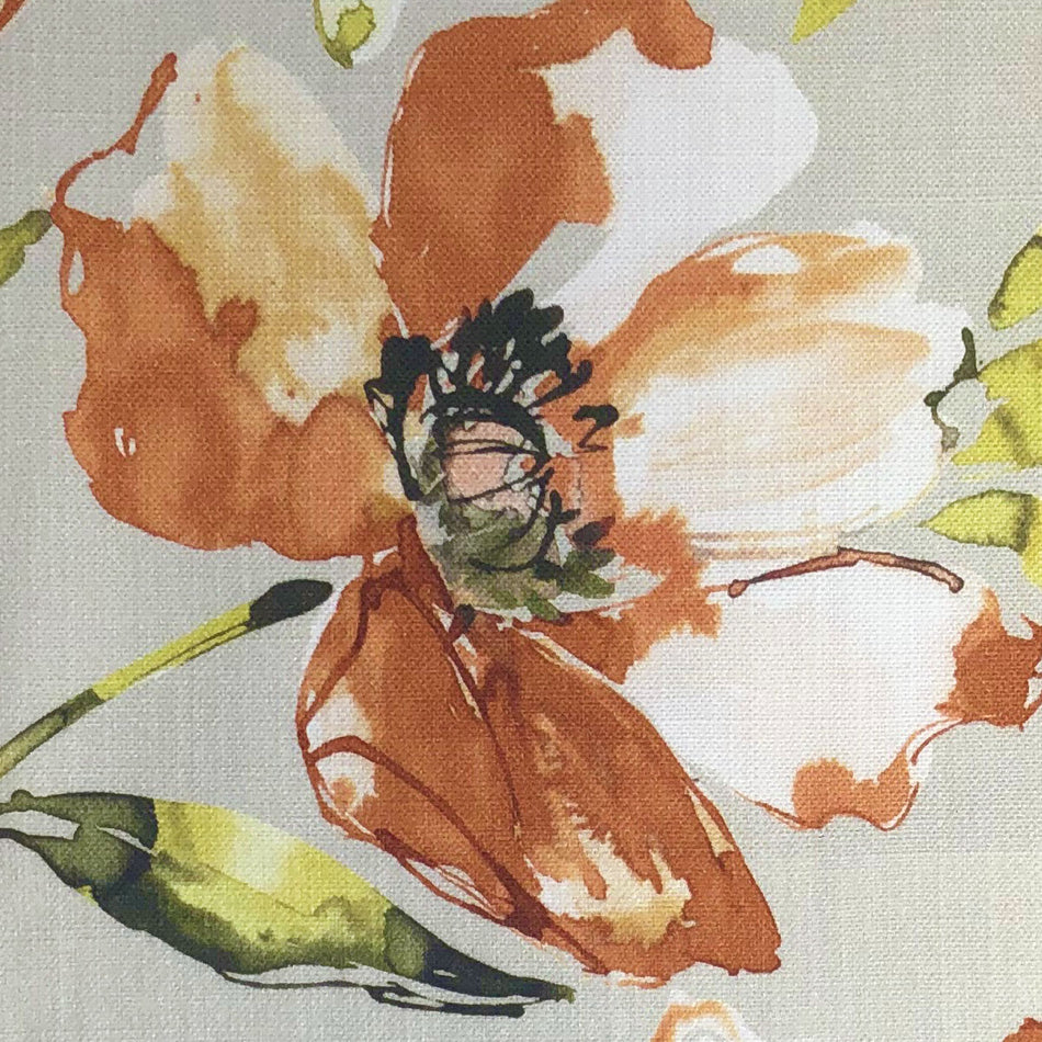 Chatham Glyn Floribunda Wisley Terracotta