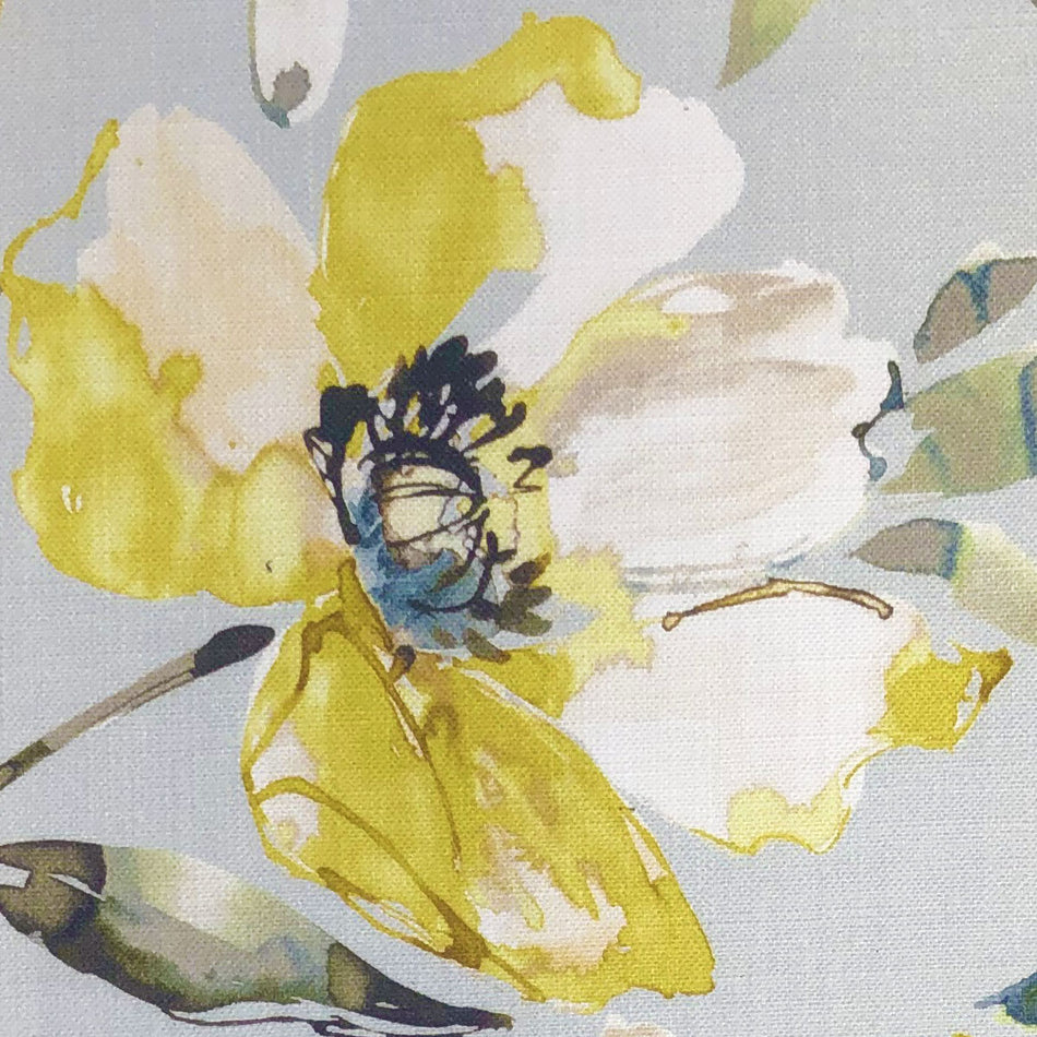 Chatham Glyn Floribunda Wisley Ochre