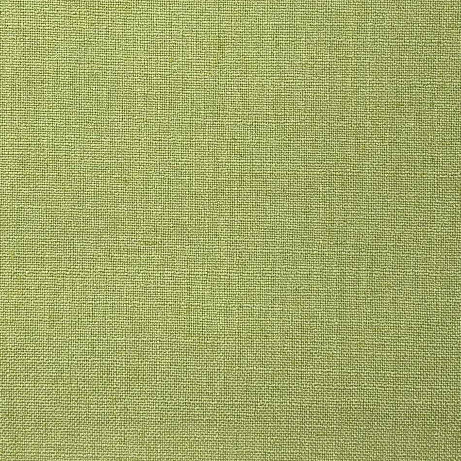 Chatham Glyn Linum Fern Fabric