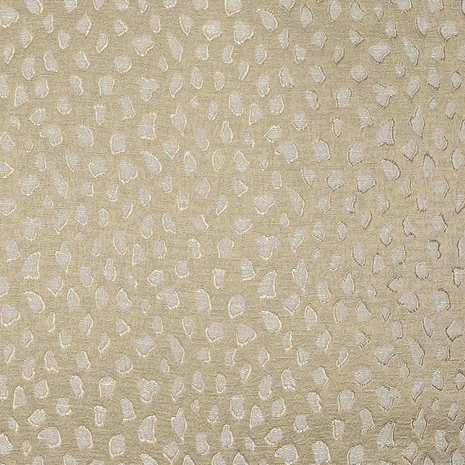Chatham Glyn Mokala Panthera Caramel
