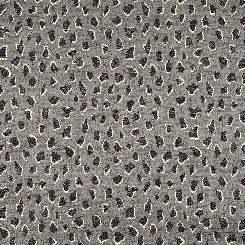 Chatham Glyn Mokala Panthera Mocha