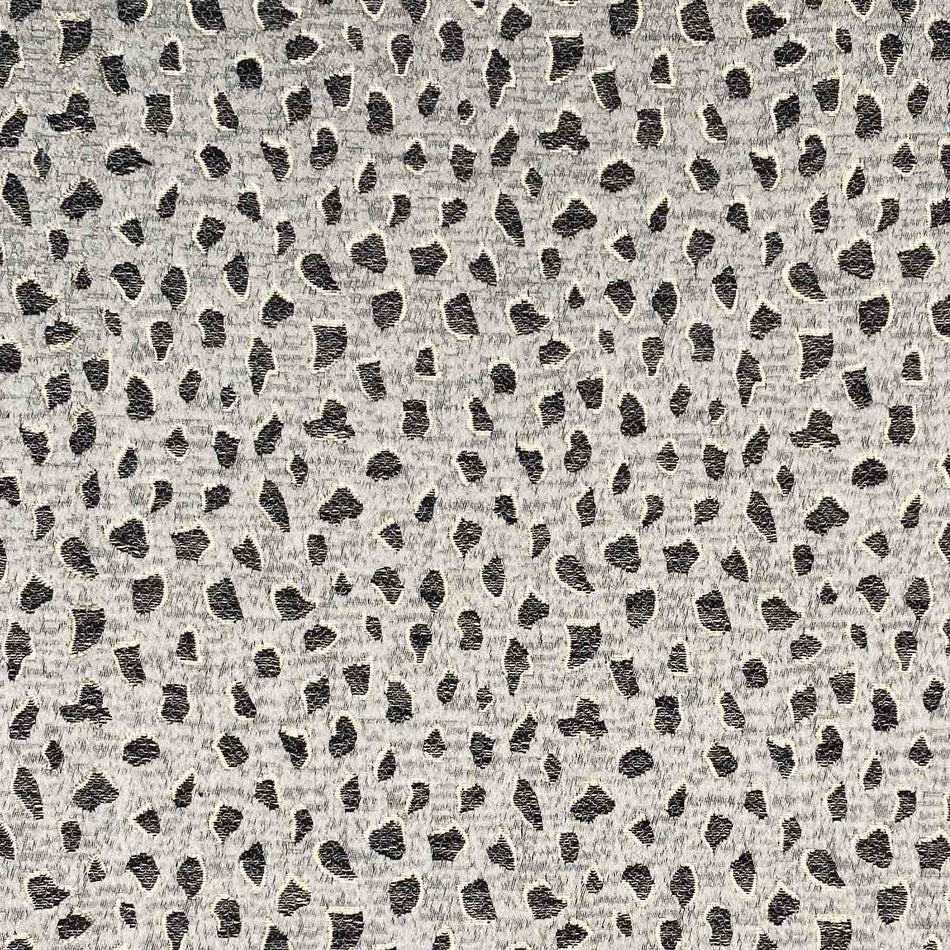 Chatham Glyn Mokala Panthera Stone