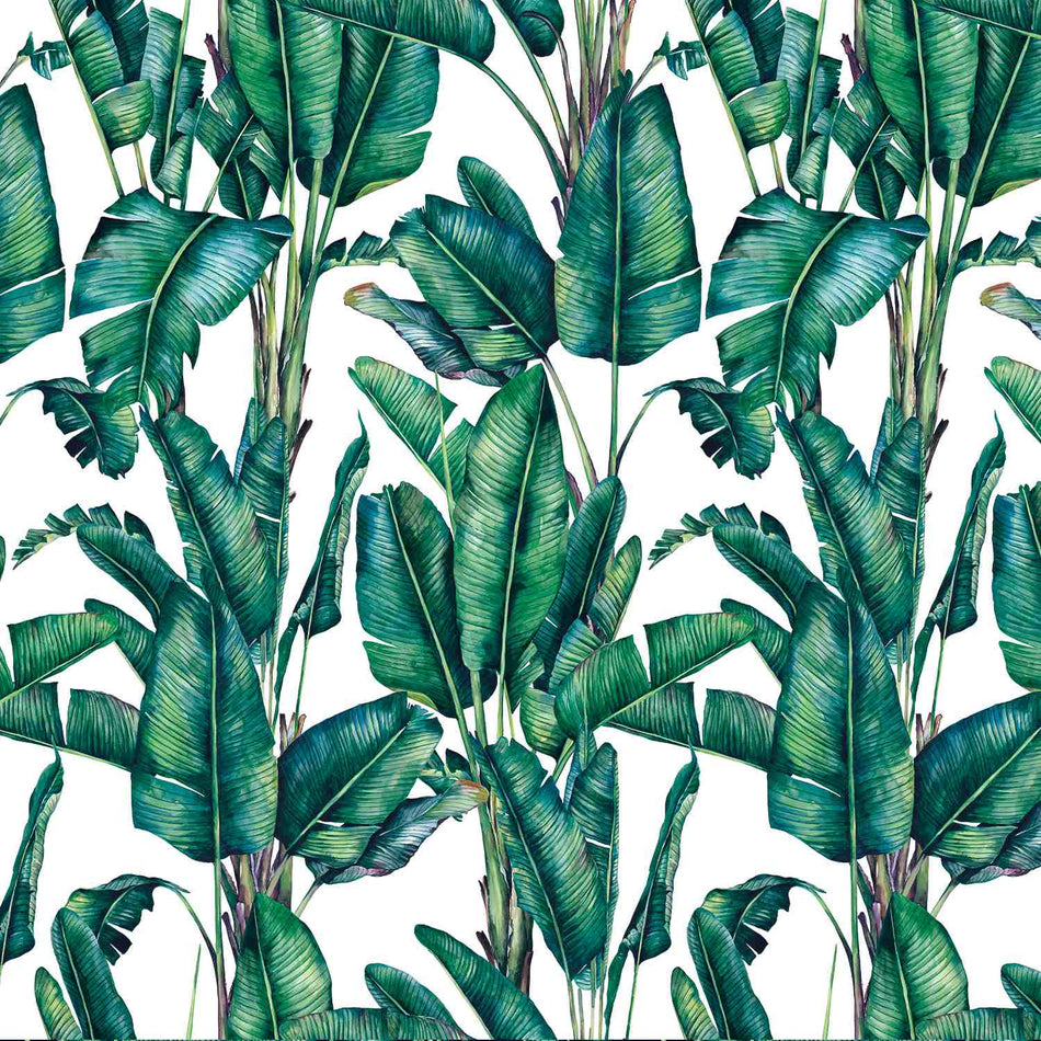 Chatham Glyn Tropical Velvets Valdivian Natural Fabric