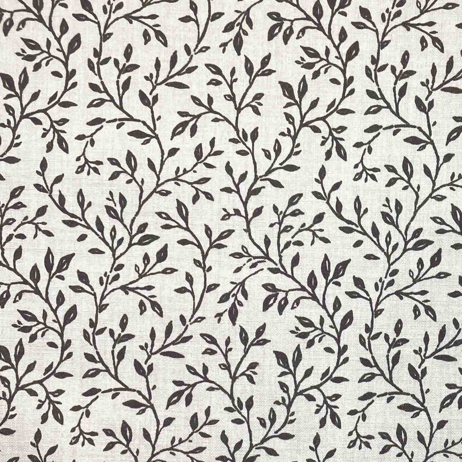 Chatham Glyn Liviano Miranda Charcoal