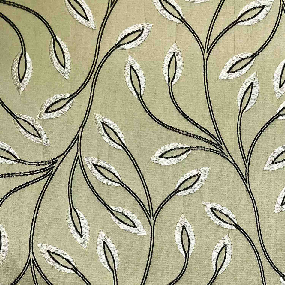 Chatham Glyn Lombardia Bergamo Latte