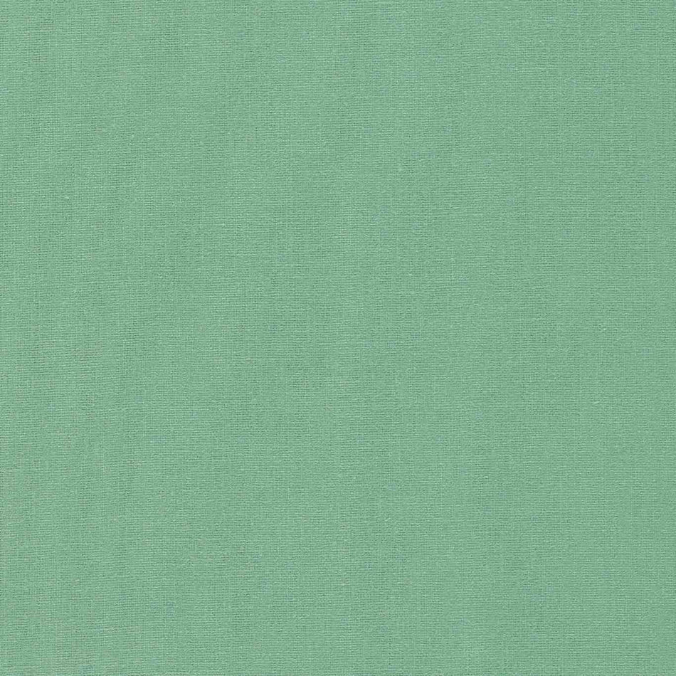 Clarke & Clarke Lazio Herb Fabric