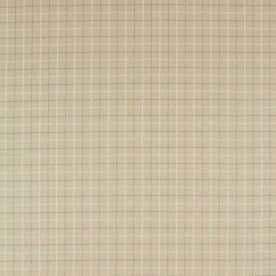 Clarke & Clarke Burlington Thornton Flax FR Fabric