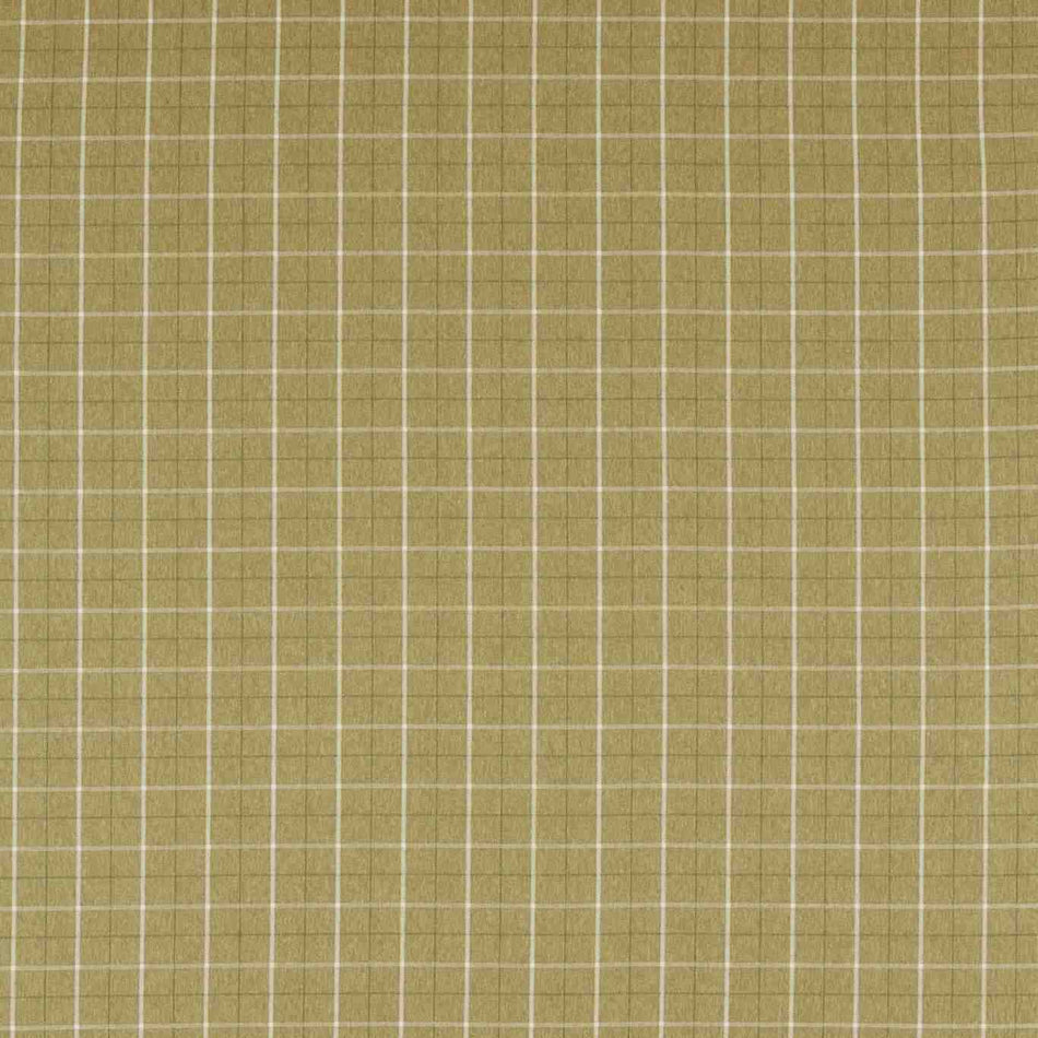 Clarke & Clarke Burlington Thornton Olive FR Fabric