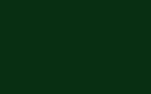 Little Greene Paint Dark Brunswick Green (88)
