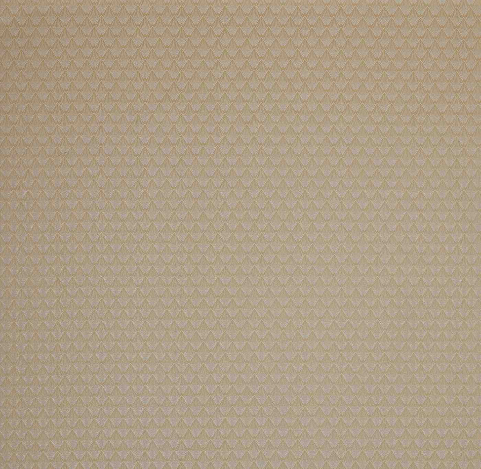 Ashley Wilde Visage Poiret Champagne Fabric