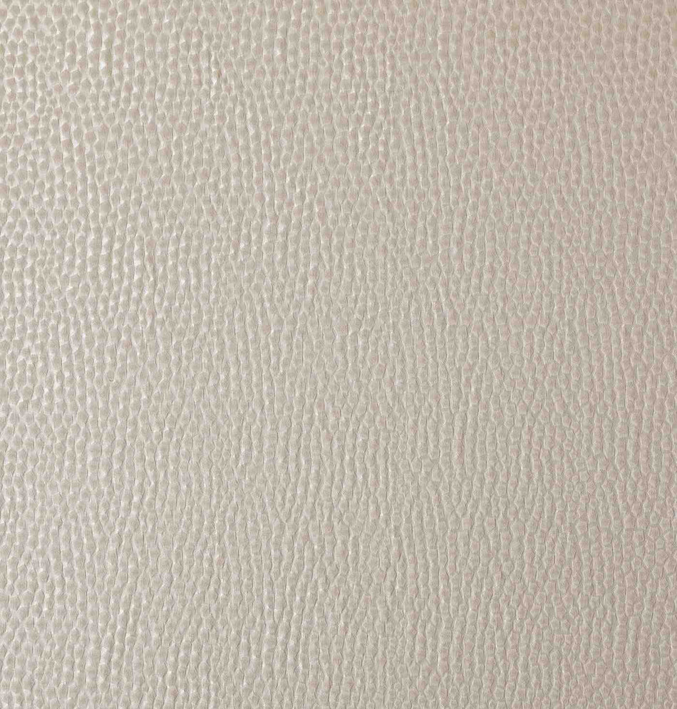 Ashley Wilde Comet Taurus Champagne Fabric