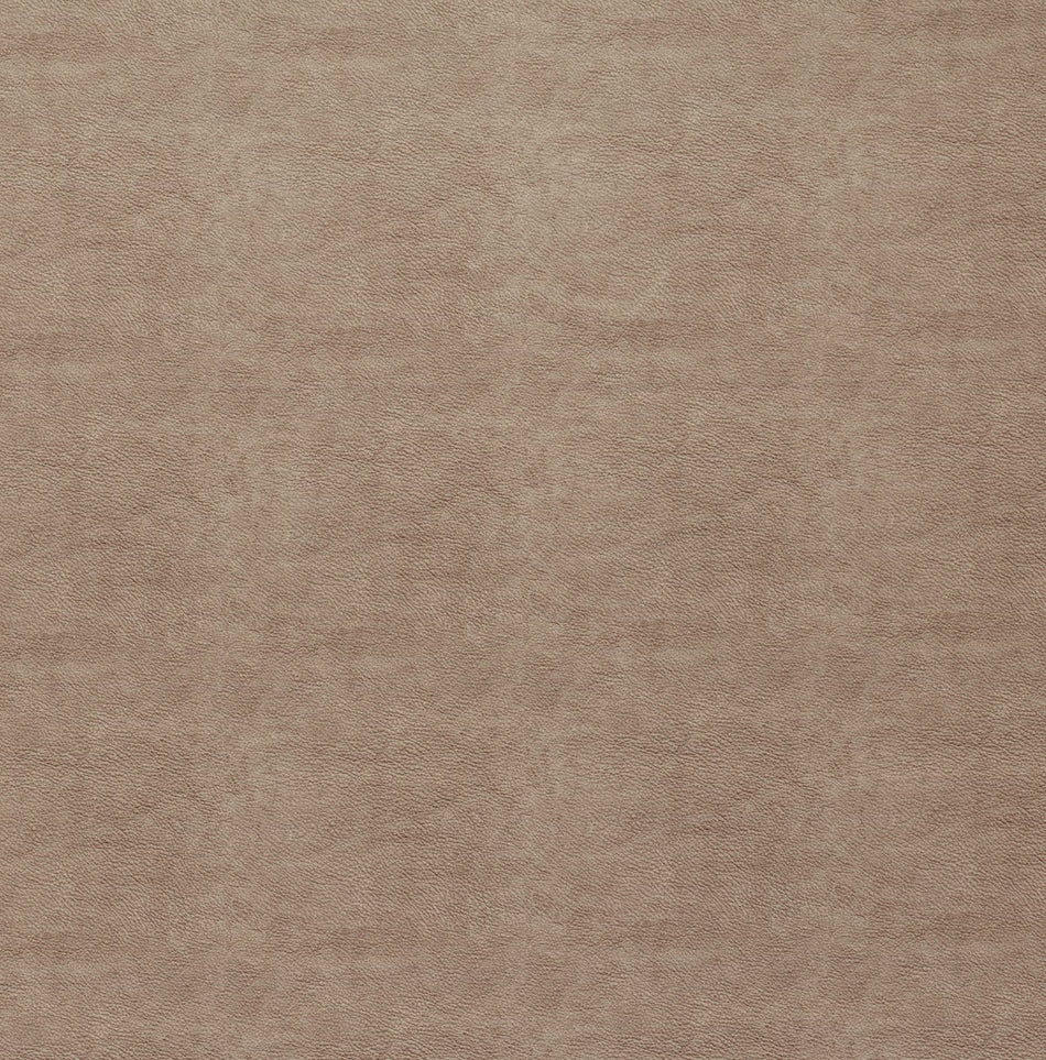 Ashley Wilde Tahiti Marina Oat Fabric