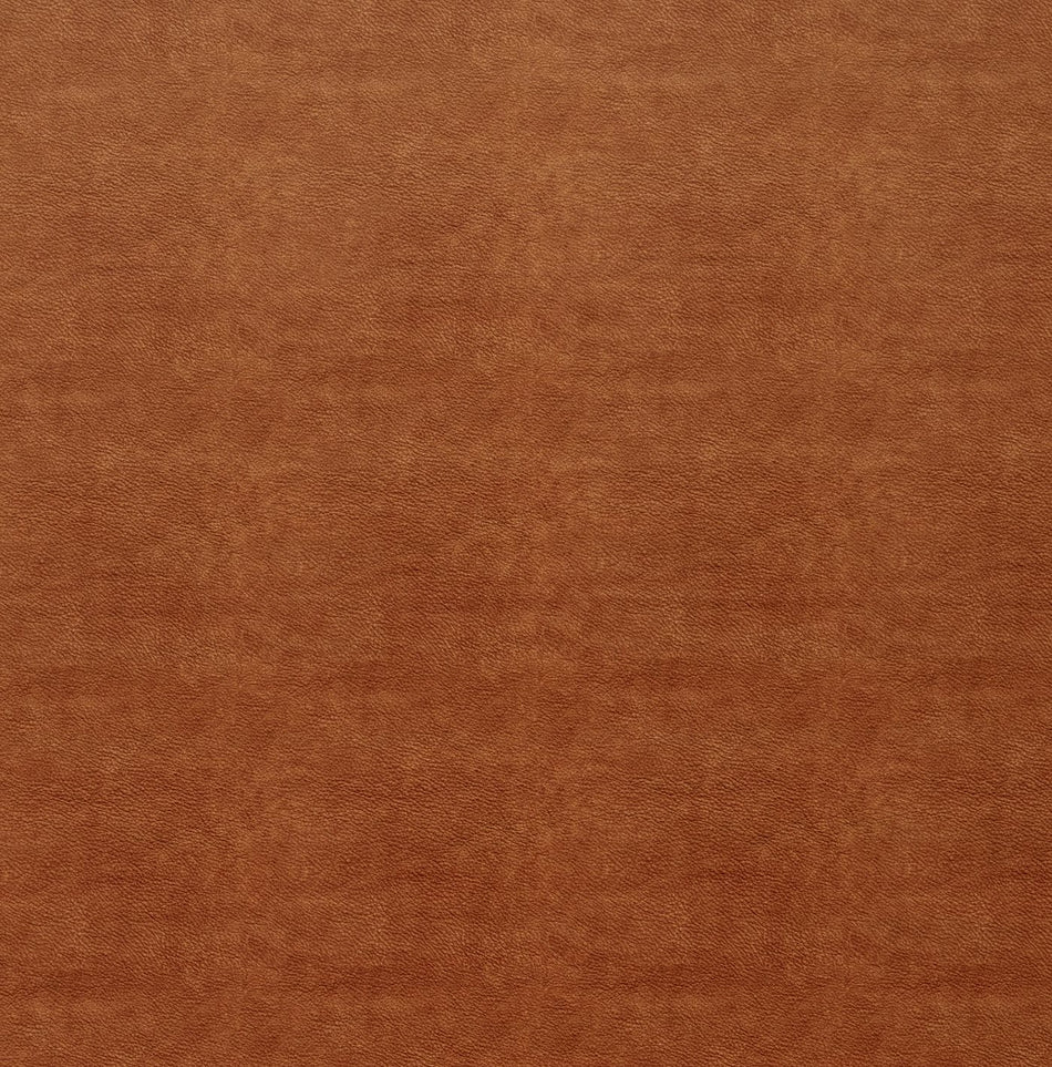 Ashley Wilde Tahiti Marina Rust Fabric